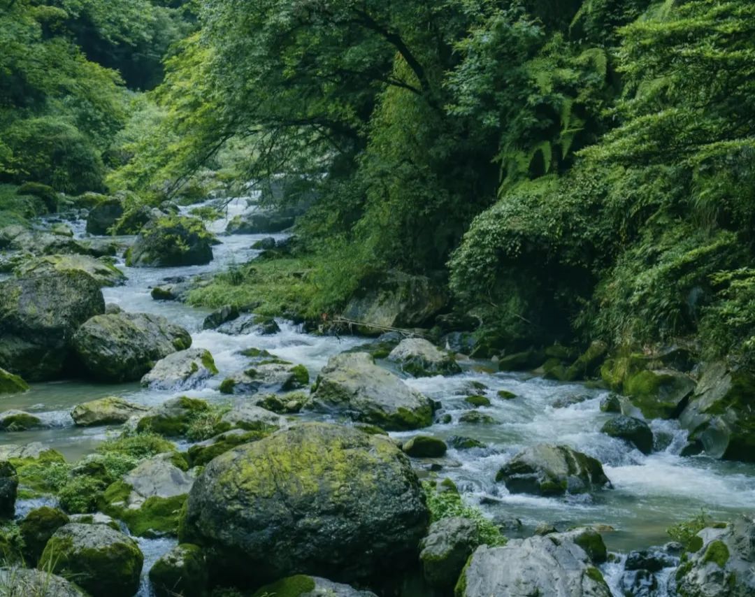 花溪源溪流