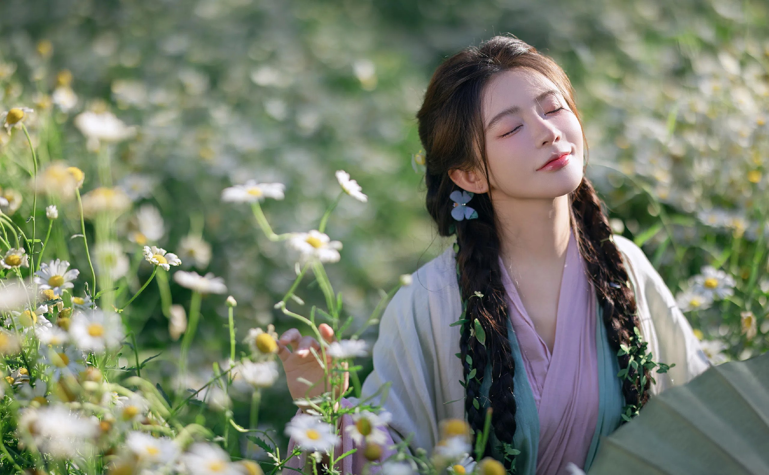 紫衣花海冥想