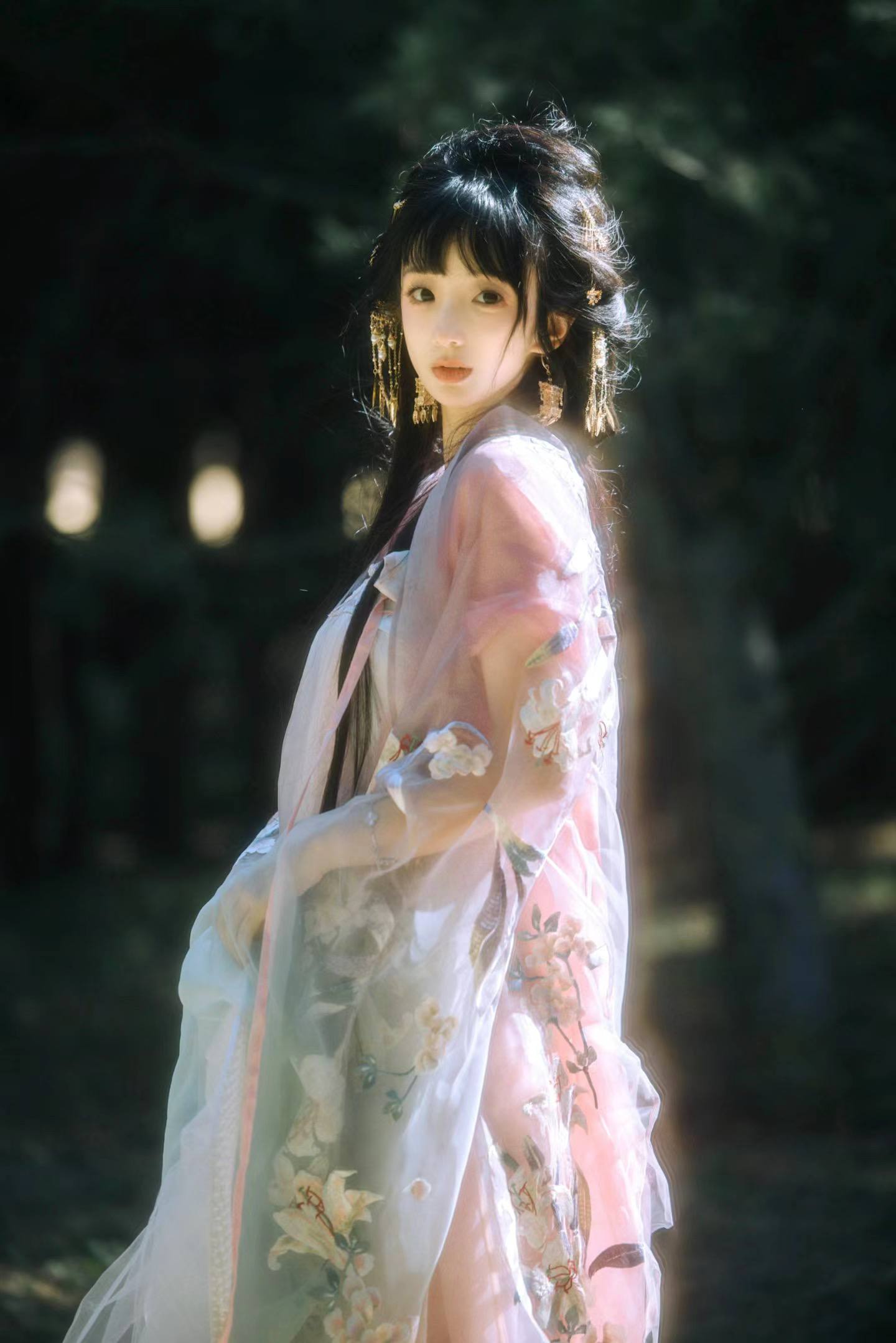 「云裳叠影·浮光」汉服影像诗辑 「云裳叠影·浮光」汉服影像诗辑