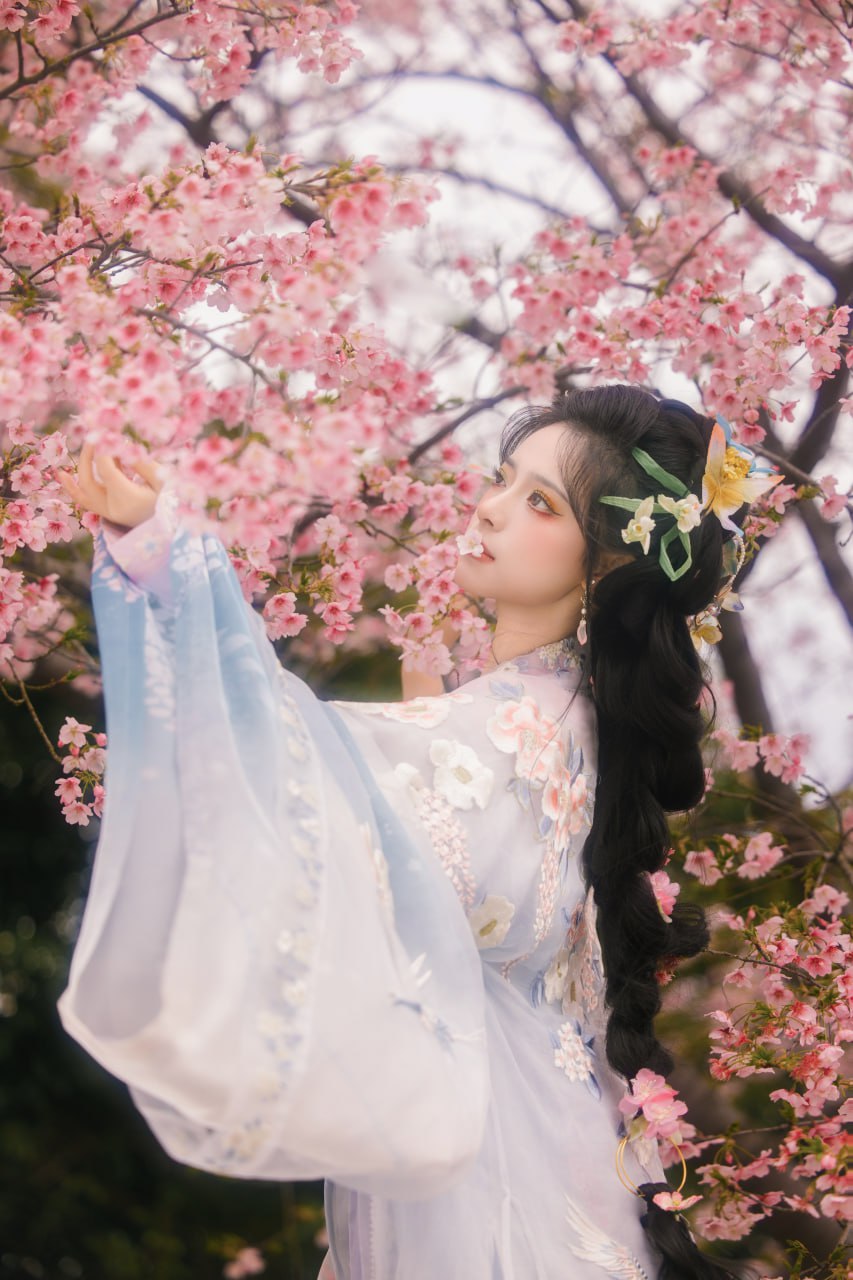 女子樱下拈花姿态