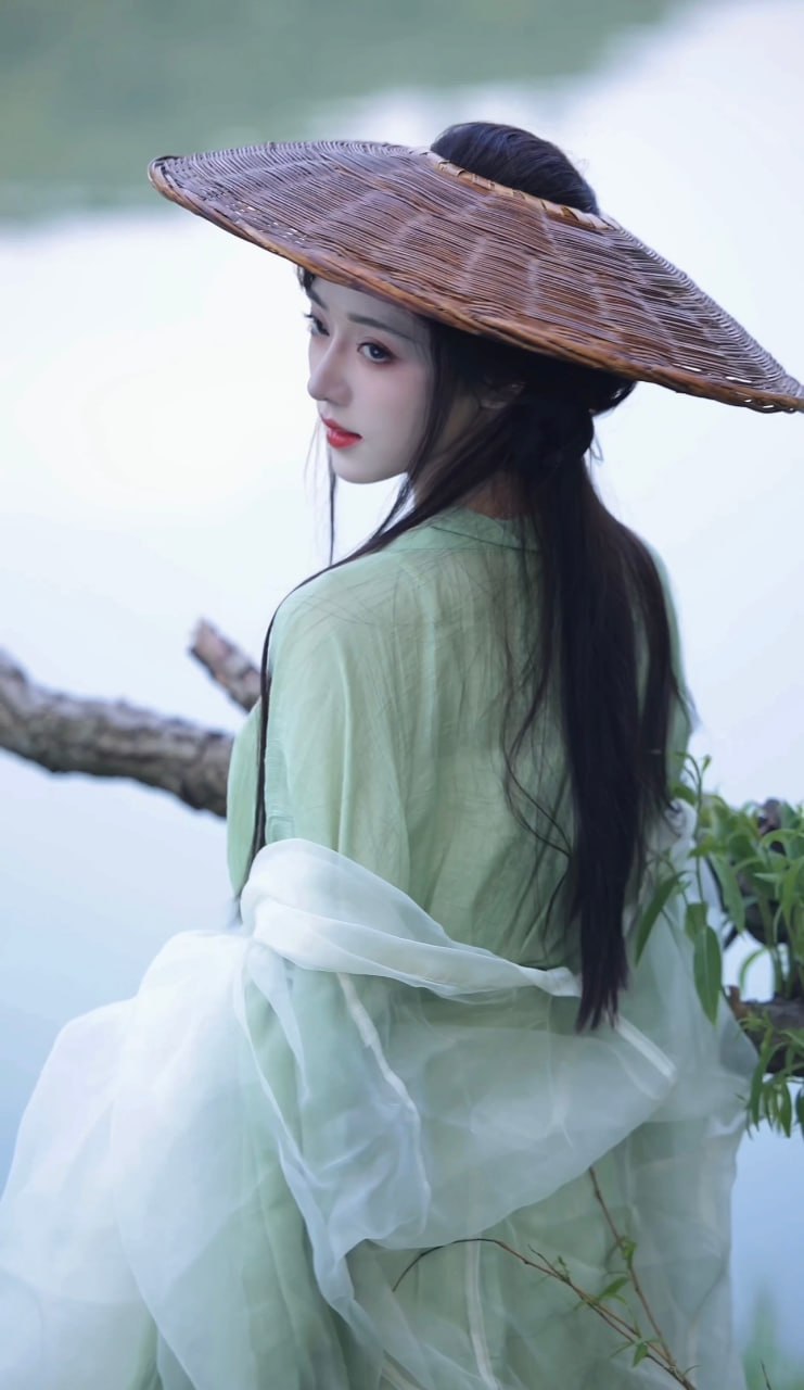 戴笠凭栏眺远山
