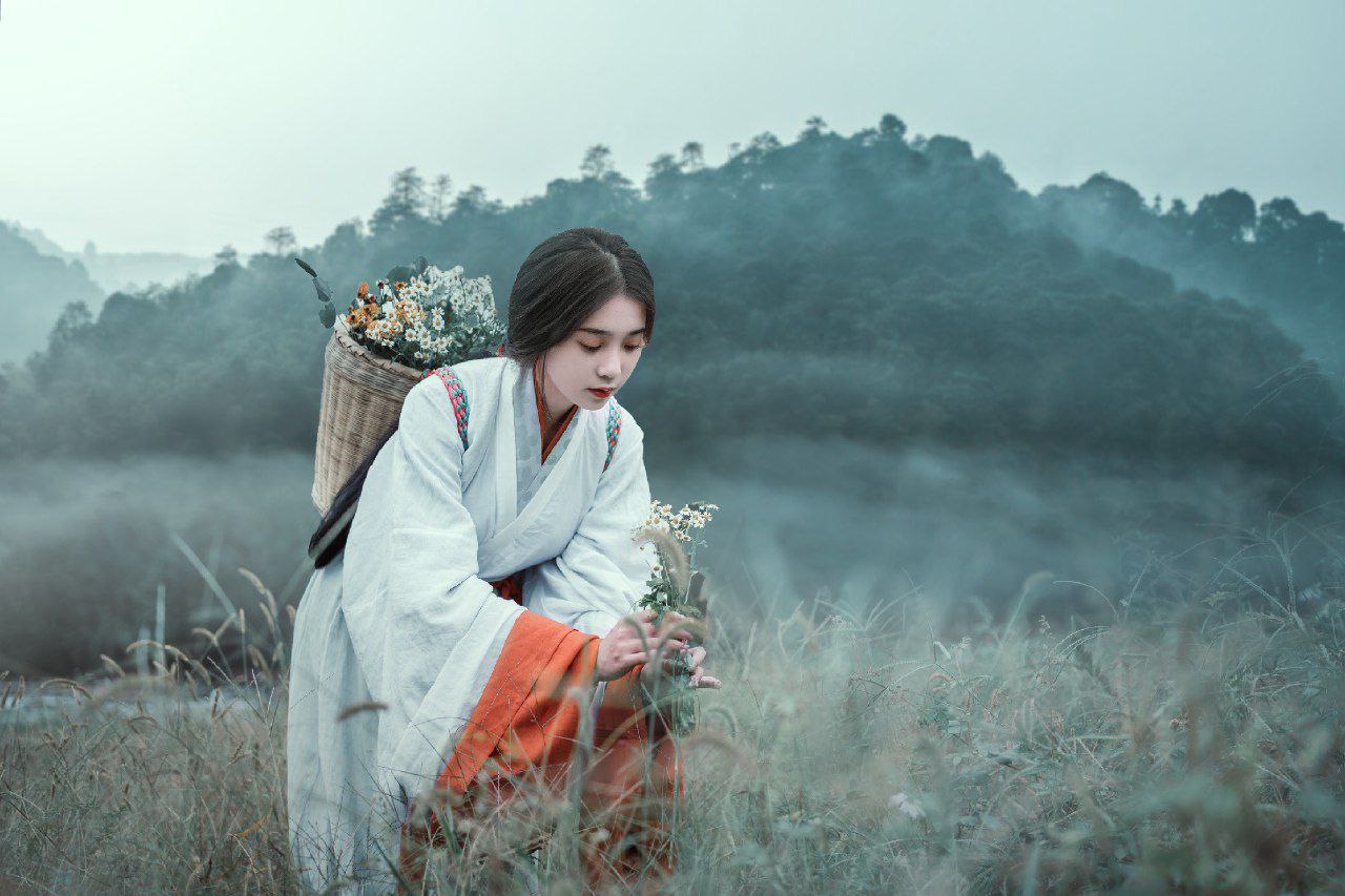 凝眸观花