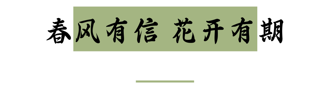 长安四月春 花时正相逢|丽人共赴百花良辰 唐潮盛宴等你入梦