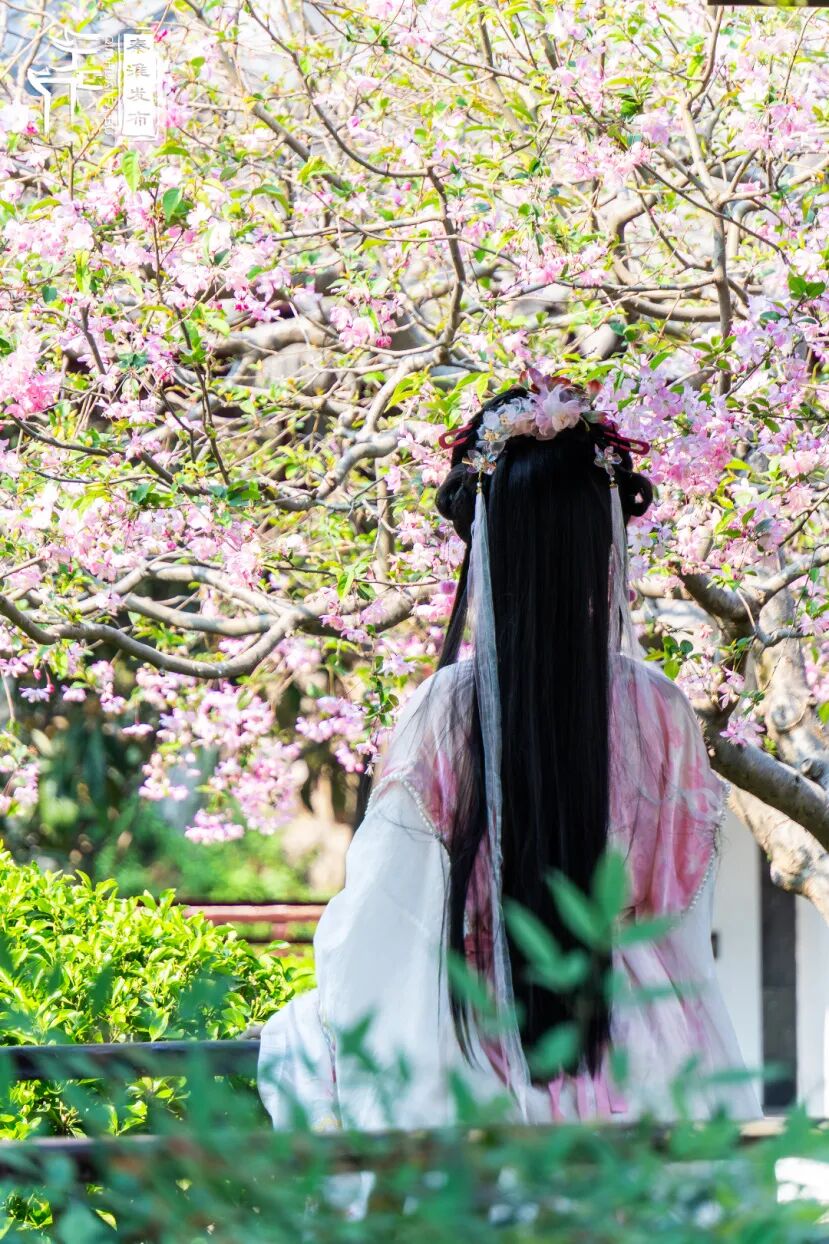 假日秦淮游|一袭汉服美,吸睛又吸金 假日秦淮游|一袭汉服美,吸睛又吸金