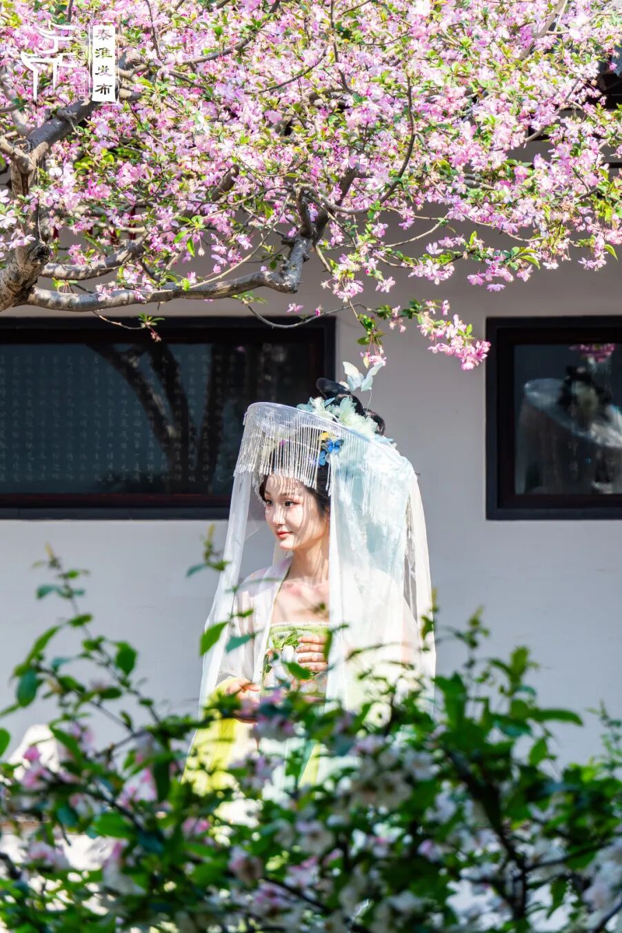 假日秦淮游|一袭汉服美,吸睛又吸金 假日秦淮游|一袭汉服美,吸睛又吸金