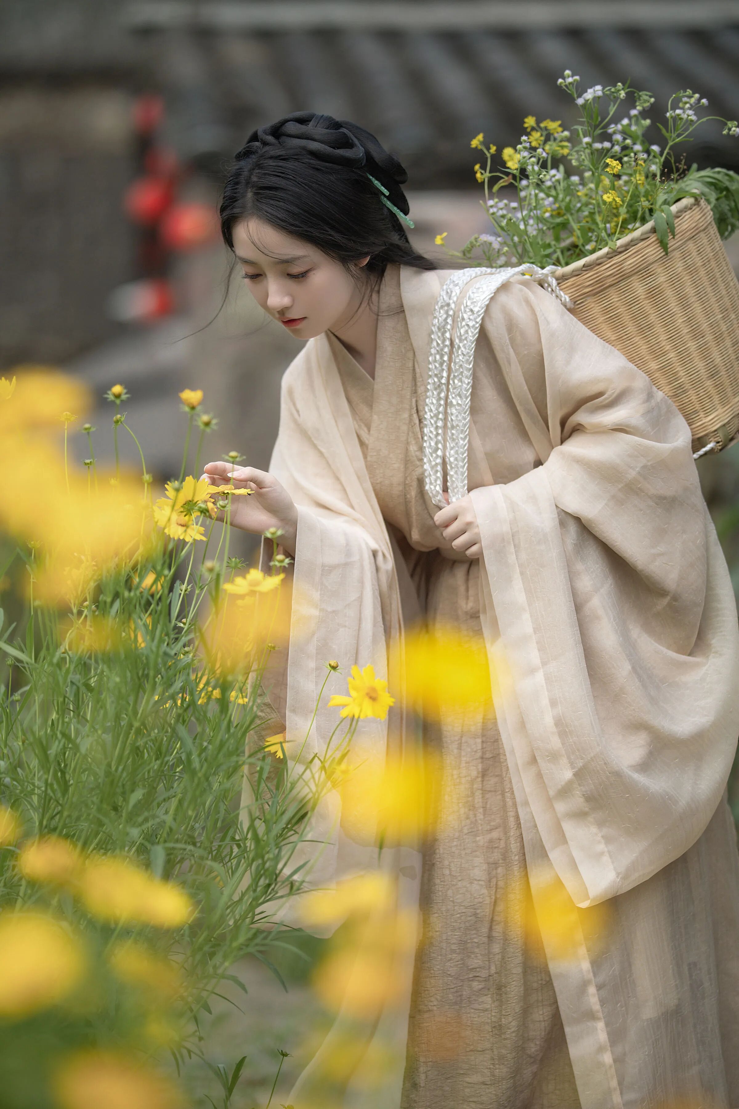 俯拍摘花