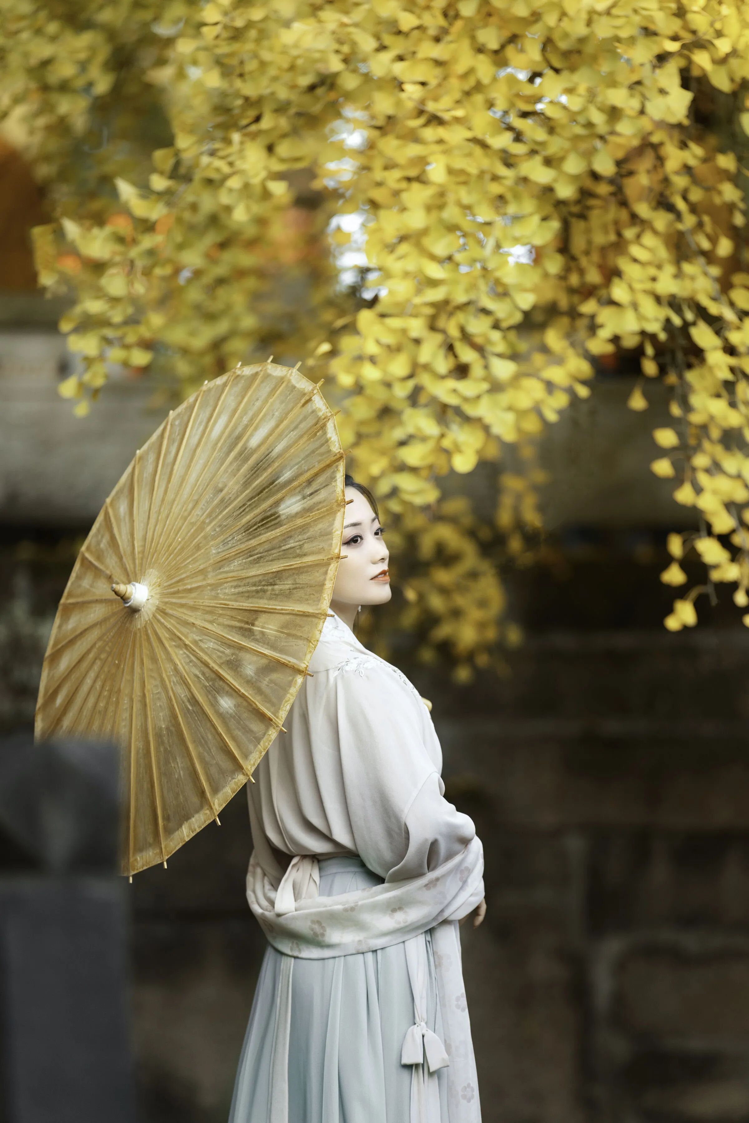 01 油纸伞斜撑银杏树下侧身远望