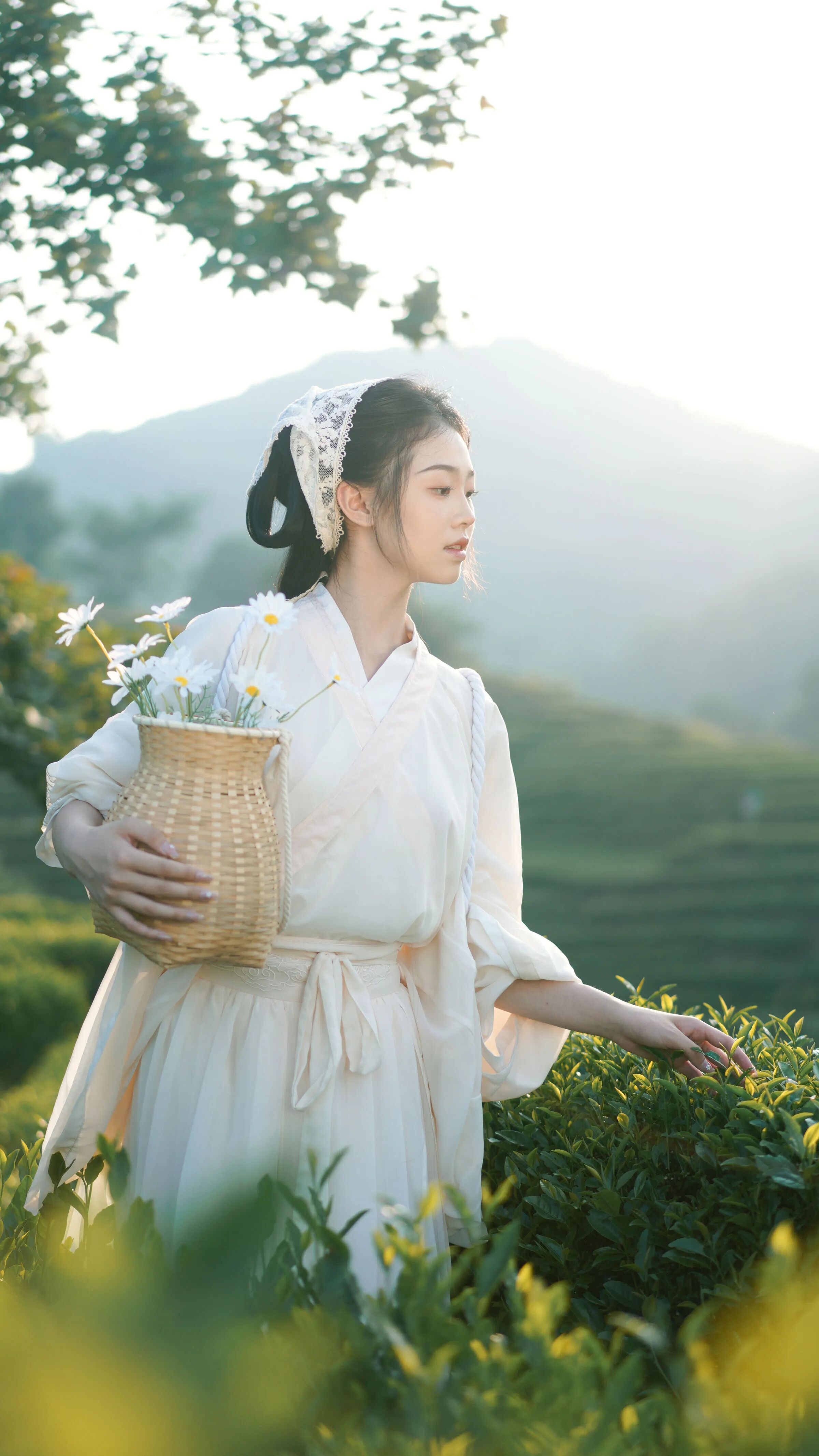 弯腰捏叶扶篮