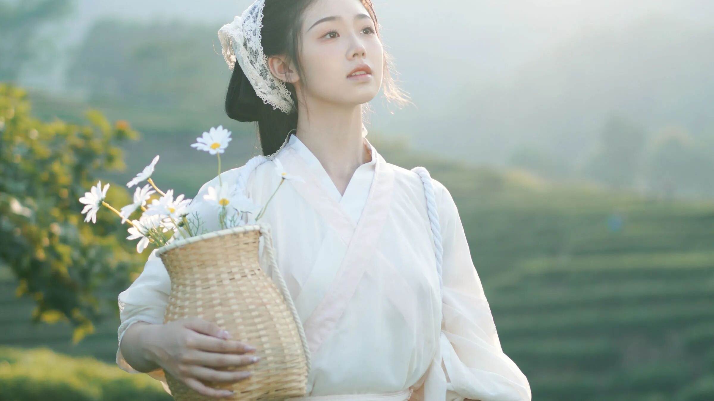 【汉服写真】白色采茶服配竹篮雏菊,清晨茶园拍出治愈田园风