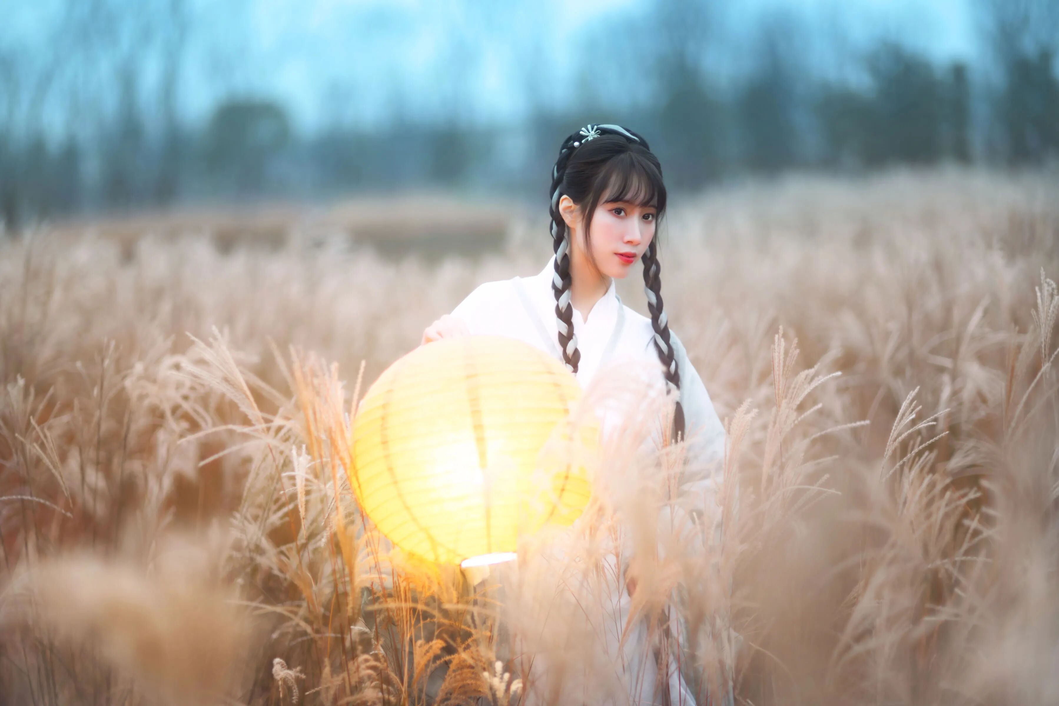 半身:提灯入丛
