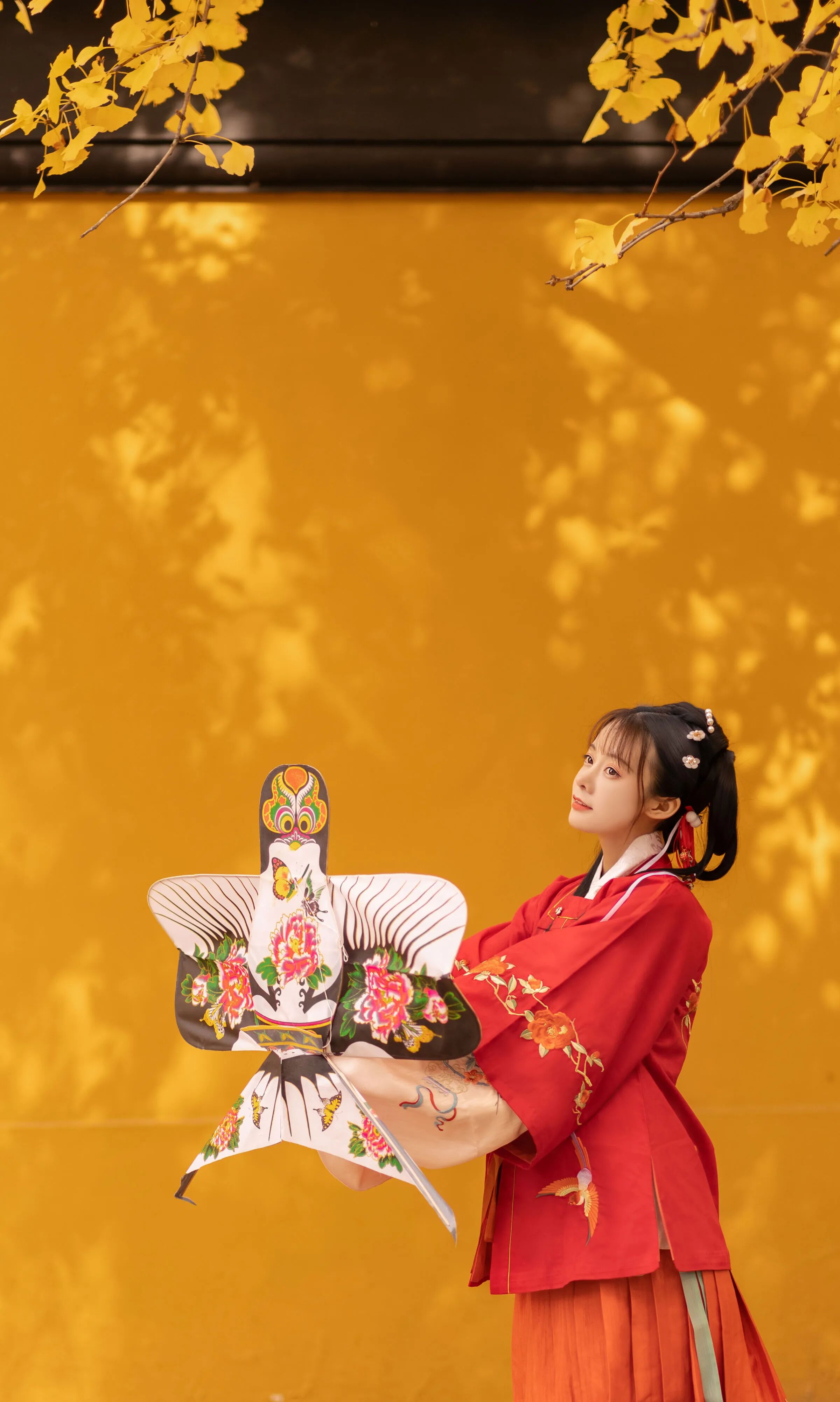 双手握住纸鸢举在身前