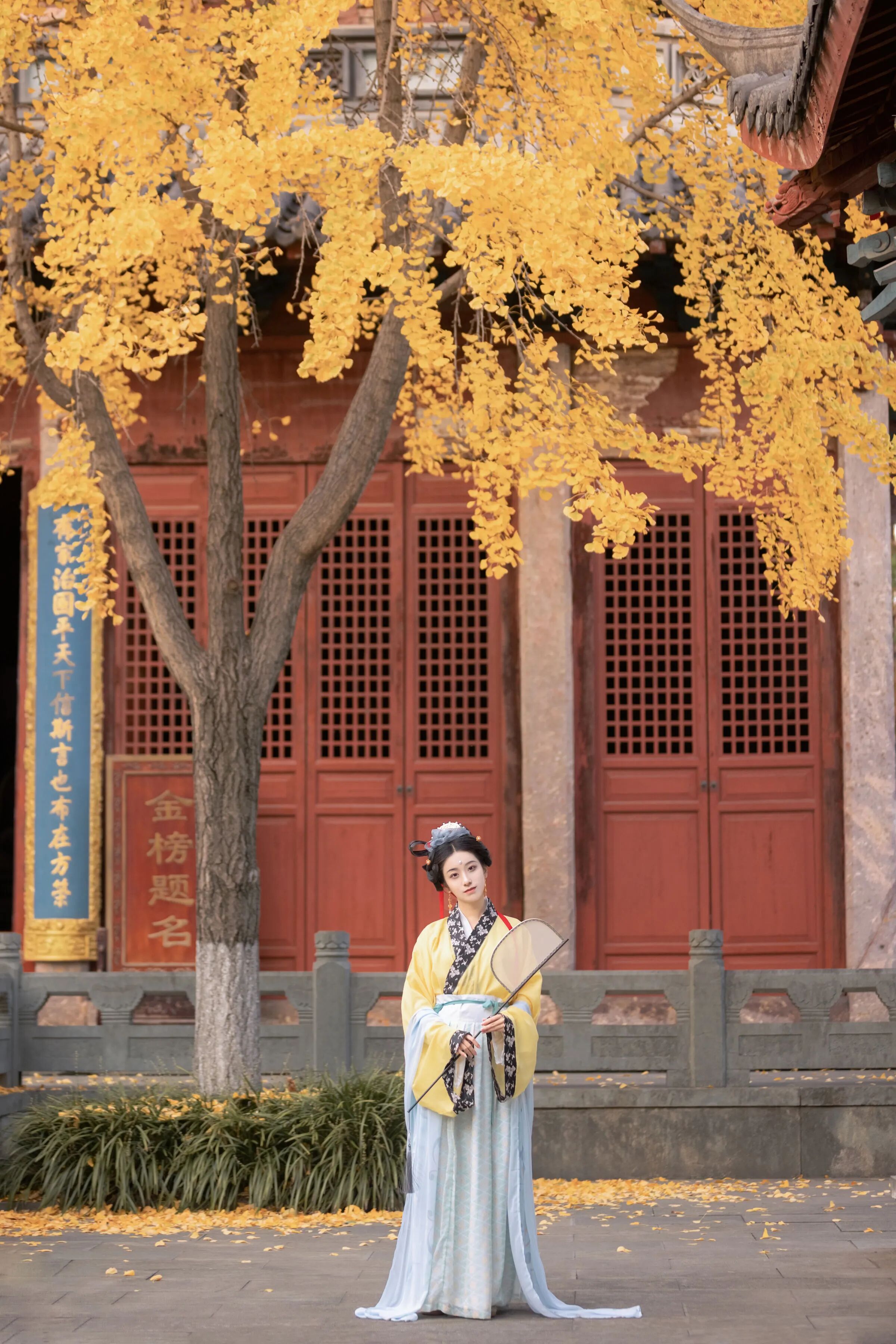 银杏树下侧立