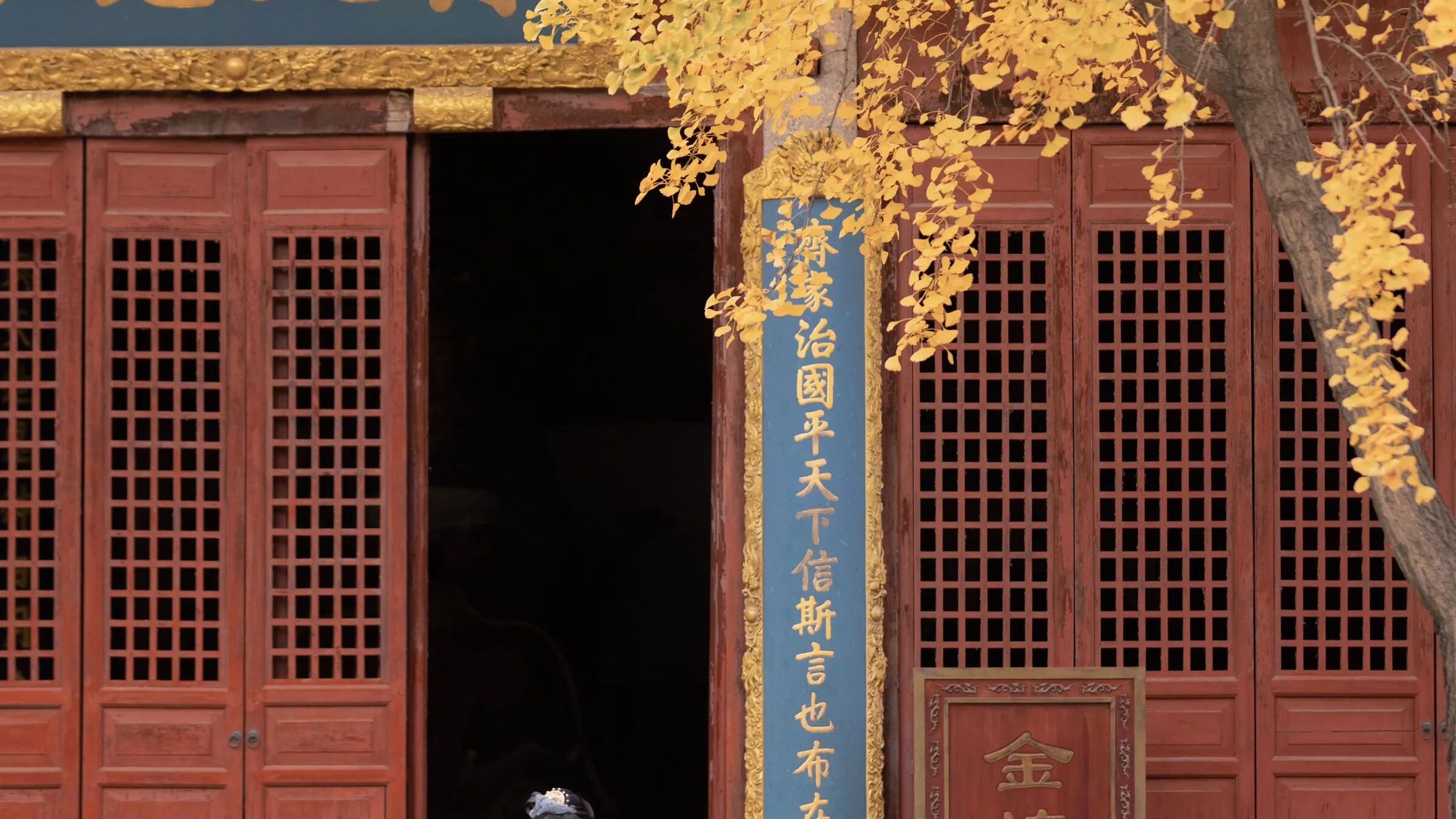【汉服写真】银杏黄了配白纱古建,门框取景拍出秋日诗意