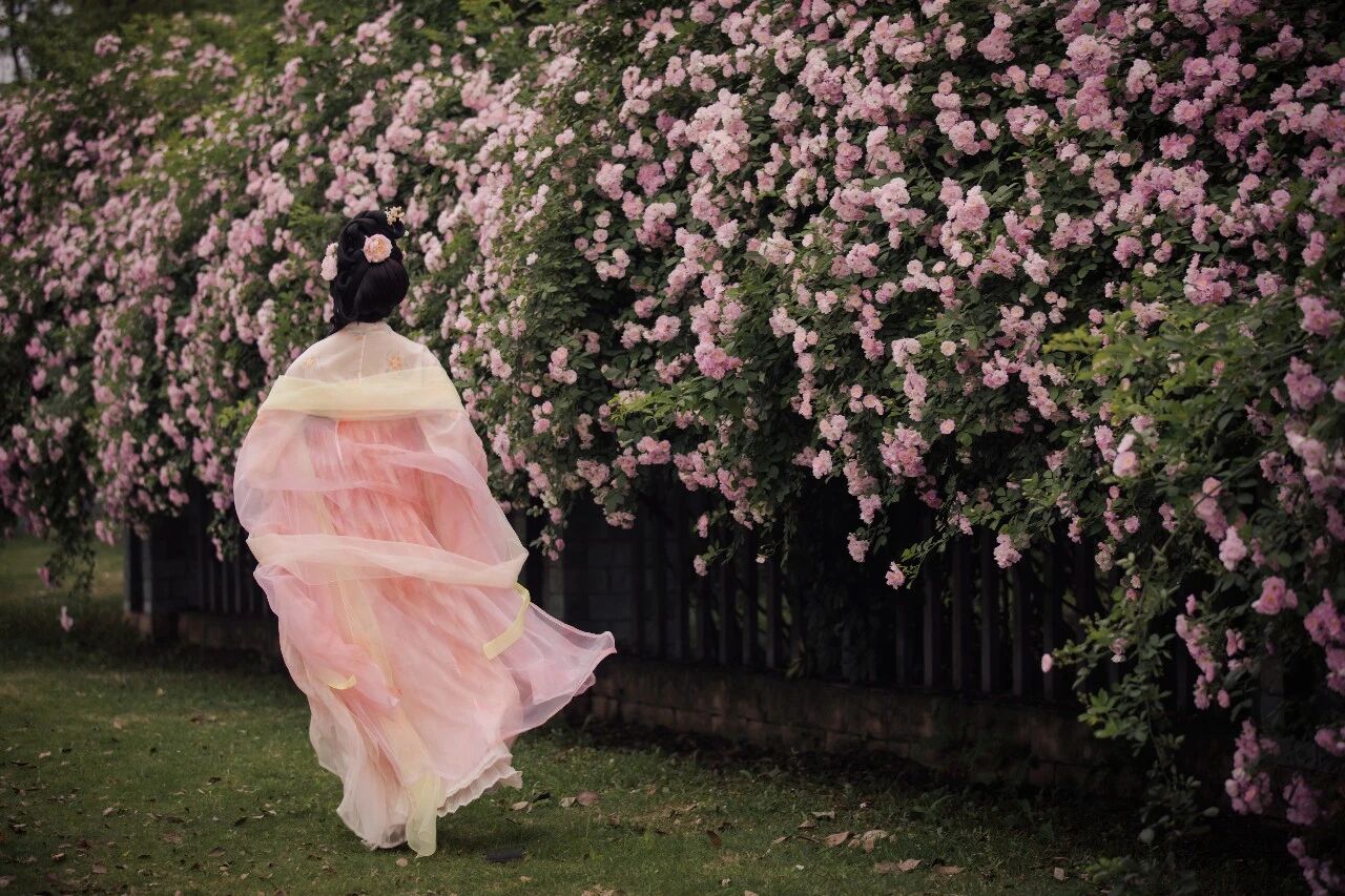 【汉服写真】云鬓簪花持素伞:一墙蔷薇一院香,佳人独立晚风凉