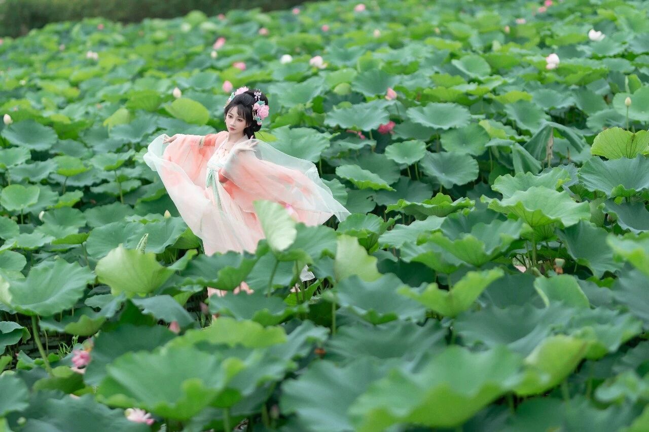 【汉服写真】齐胸襦裙舞荷塘:翠盖红衣翩然起,一池清梦落衣裳