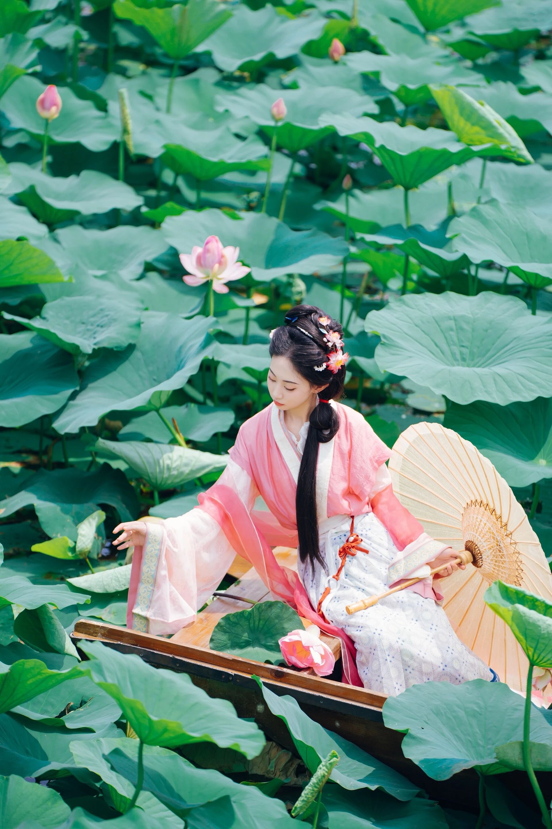 【汉服写真】沈阳荷花乌篷船:误入藕花深处,一棹摇碎满池夏