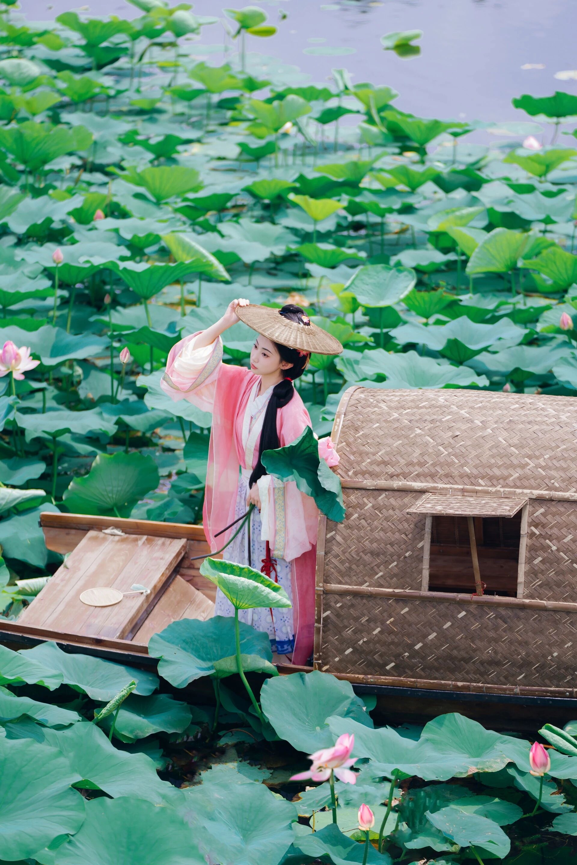 【汉服写真】沈阳荷花乌篷船:误入藕花深处,一棹摇碎满池夏
