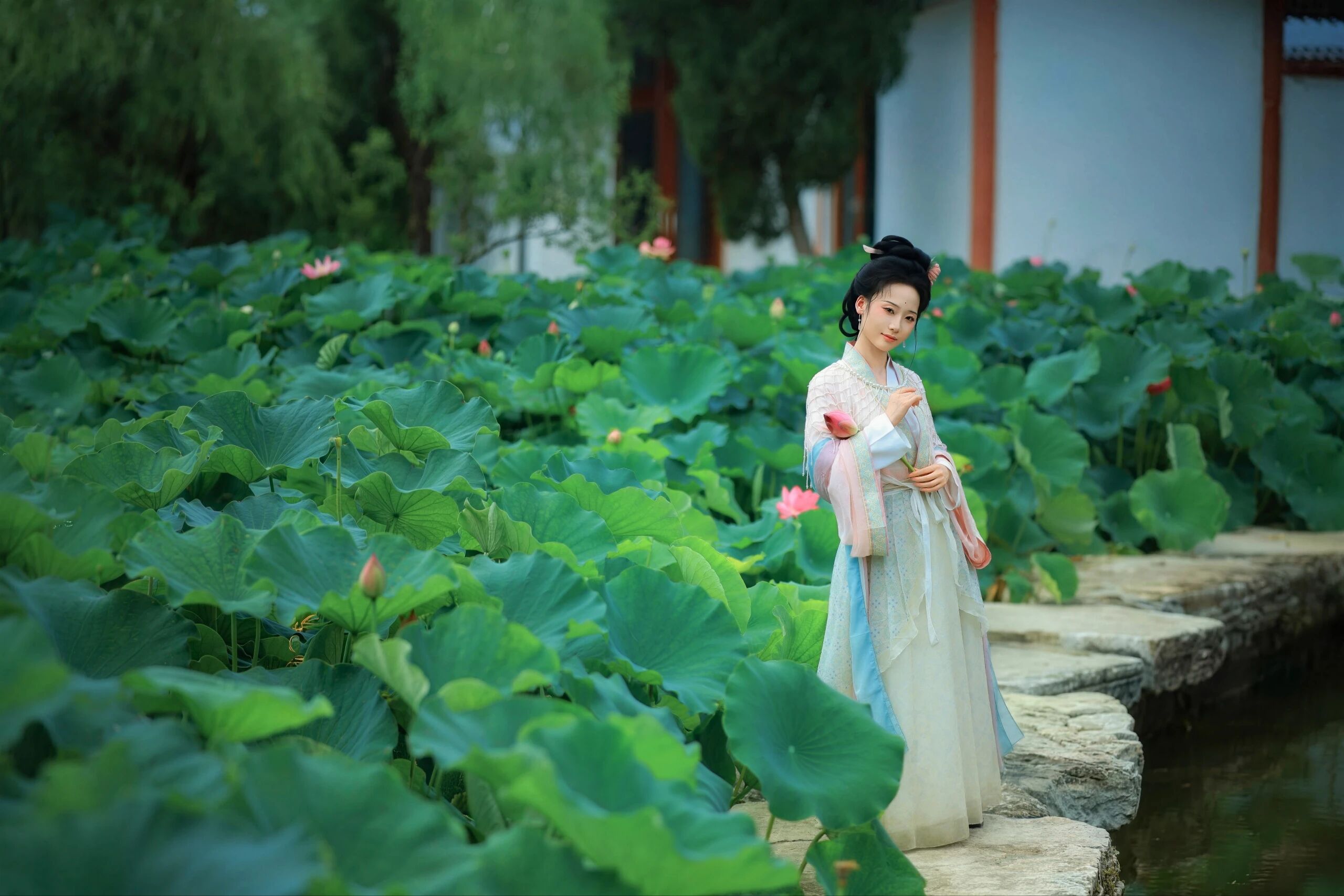 【汉服写真】夏荷清韵:罗衣映碧叶,一舸穿花过藕塘