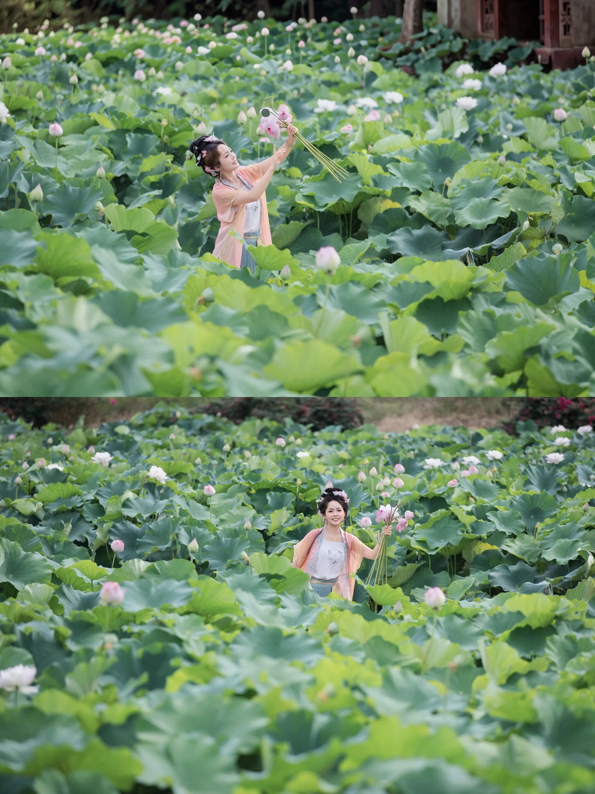 【汉服写真】宋衫碧荷:轻倚塘畔,人面芙蓉两相扬