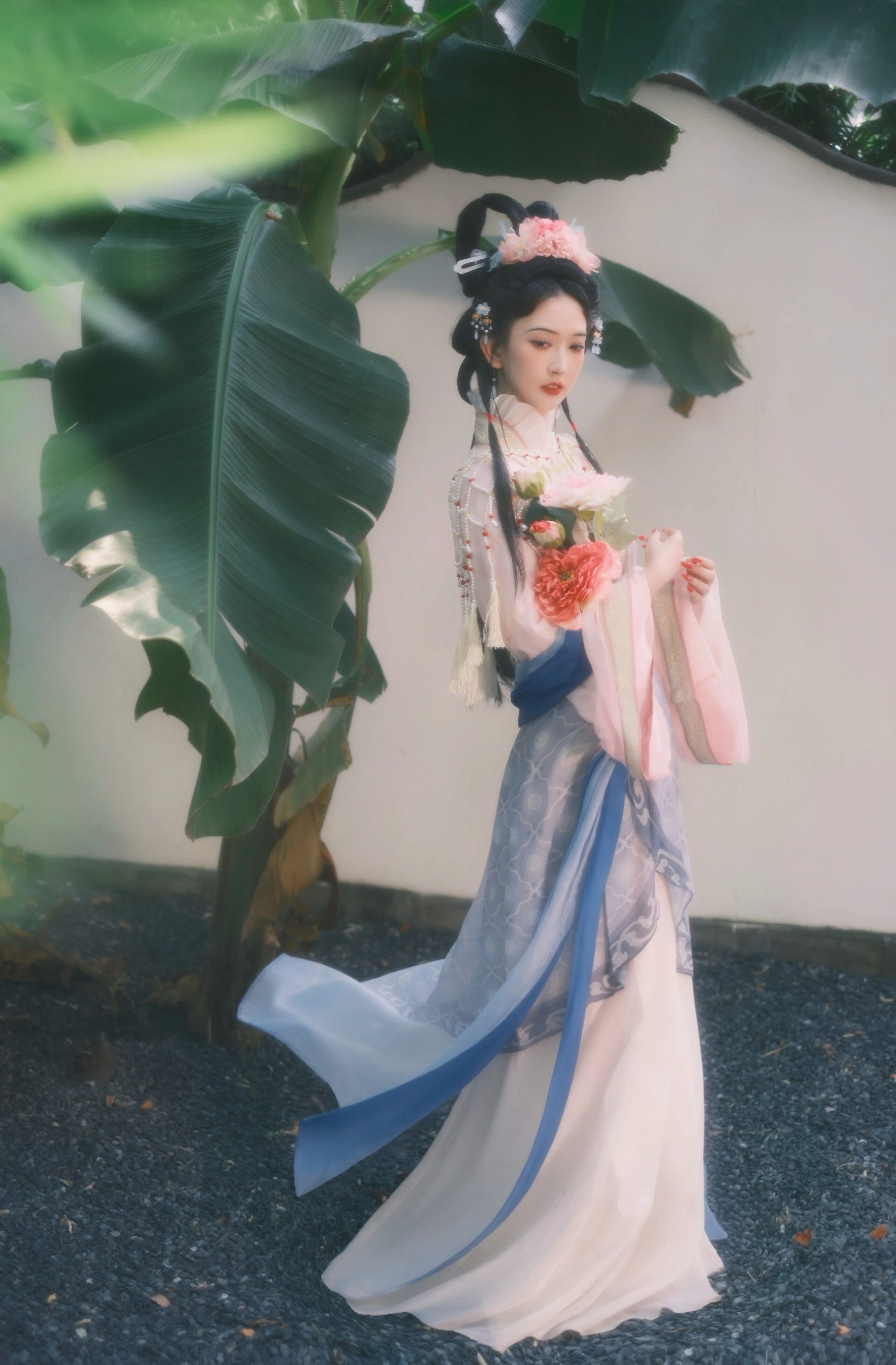 芭蕉影下 · 一袭粉白 宋制第2帧/11·竖幅
