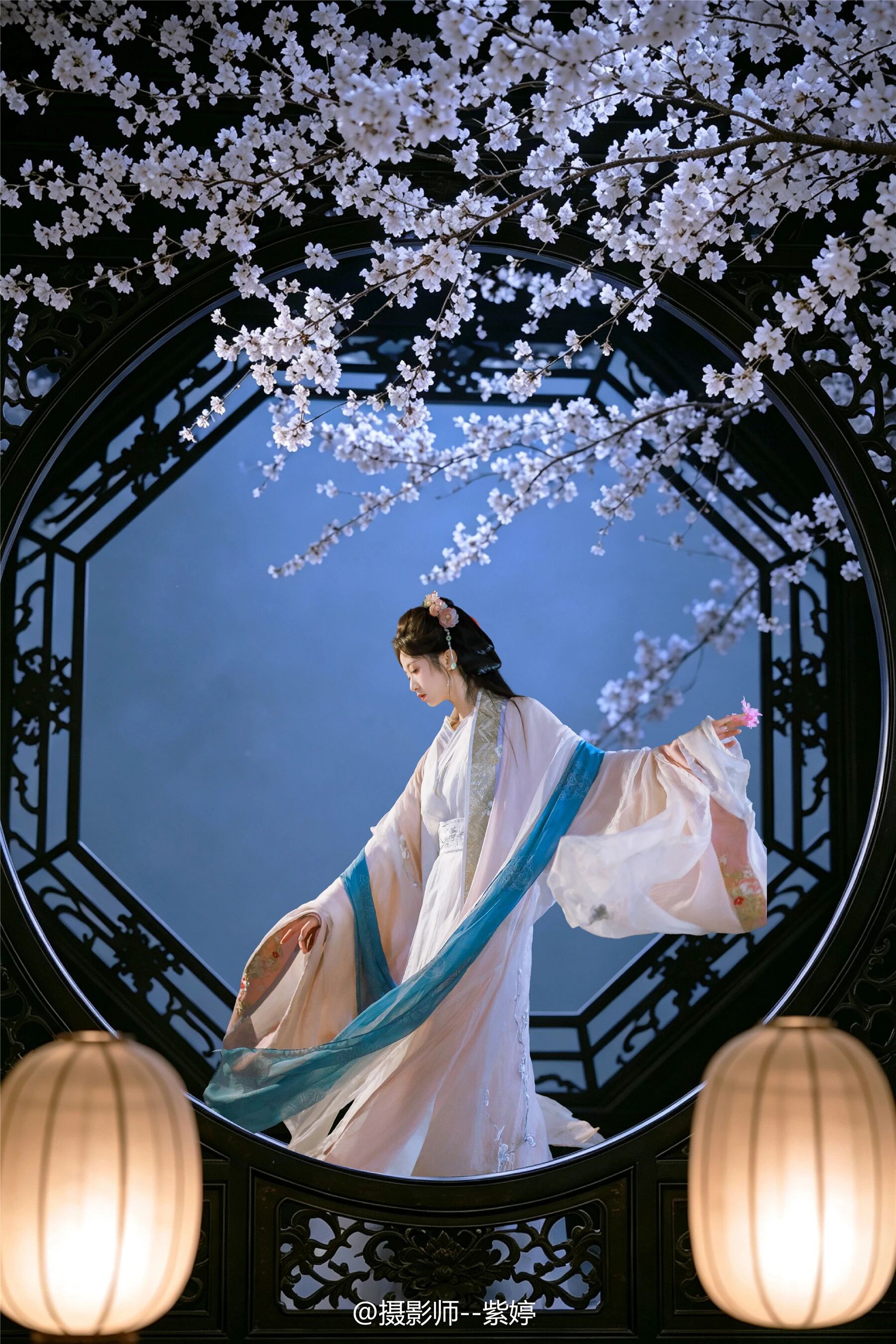 夜樱辞梦 · 月光门里 夜拍第2帧/6·竖幅