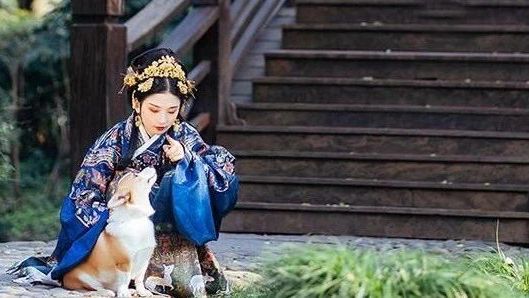汉服 · 宠物 | 唯汉服与你不可辜负