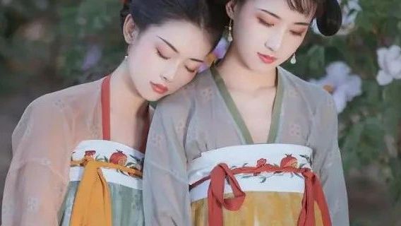 来看看平价的唐制汉服啦