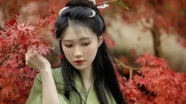 汉服写真｜叶尽枝头寒万树，原上放飞鸦寂苦。