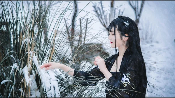 雪景