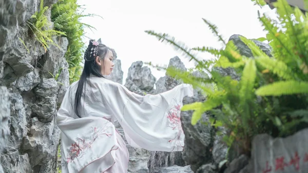 梦回忆锦上蛾，倾世也彷徨