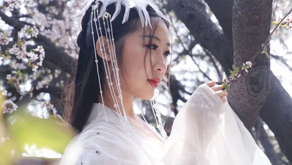 慕莲卿