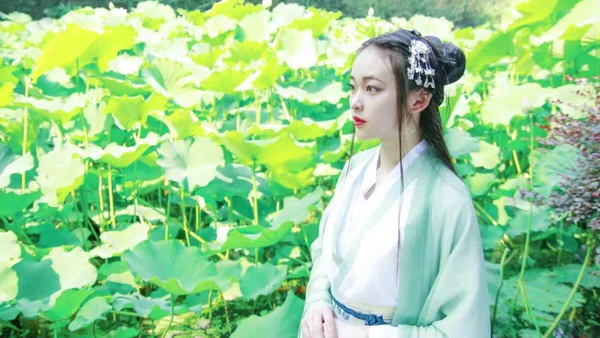 花殇殇|一池荷叶青衫客