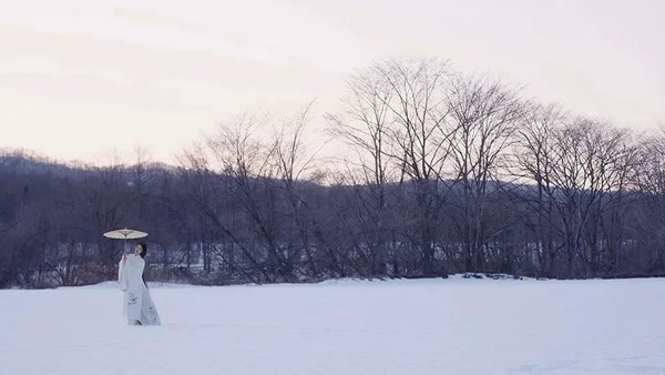 汉服摄影｜千山暮雪，只影向谁去