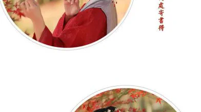 汉服摄影|红叶黄花秋意晚，千里念行客
