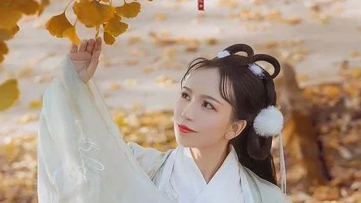 汉服美景 | 碧云天，黄叶地