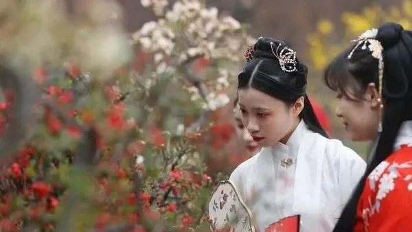年轻人“入了圈”，汉服“出了圈”