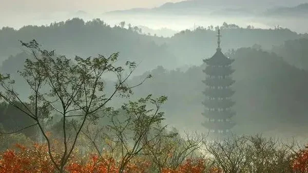 遇酒逢花须一笑，故留秋意作重阳