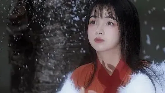 汉服·节气｜千山暮雪，只影向谁去