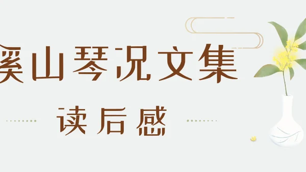 《溪山琴况文集》读后感