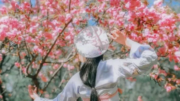 花朝节丨一个被世人遗忘的节日，却是一年中最美的日子