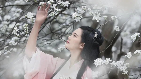 忘不掉的是你眸光如水