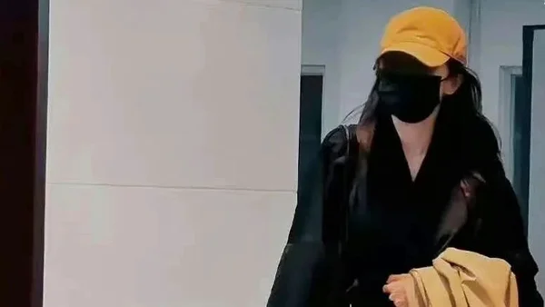 马面裙真的火了！那就一起详细了解一下马面裙的历史源流