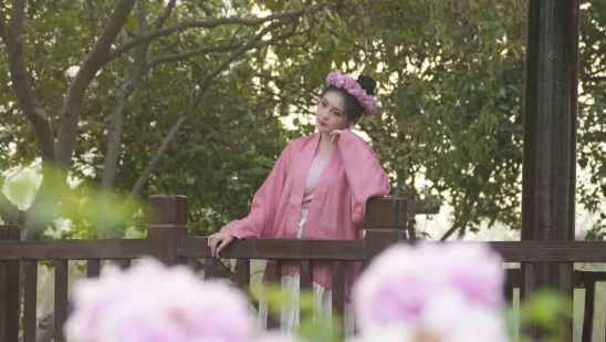 「汉服映国色·花海越千年」2025曹州牡丹园沉浸式赏花全攻略​