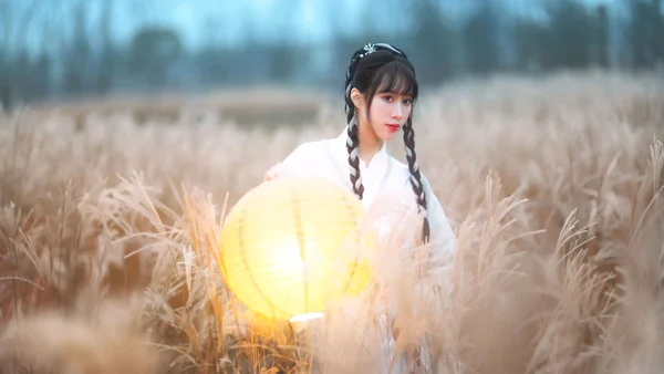 【汉服写真】浅蓝汉服配灯笼，芦苇荡里拍出温柔古风