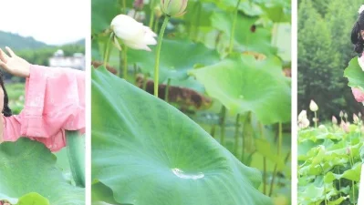 夏日荷塘汉服写真指南：宋制罗裙配清荷，8个唯美构图拍出诗意古风