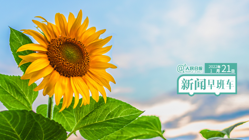 2022-1-21 新闻简讯