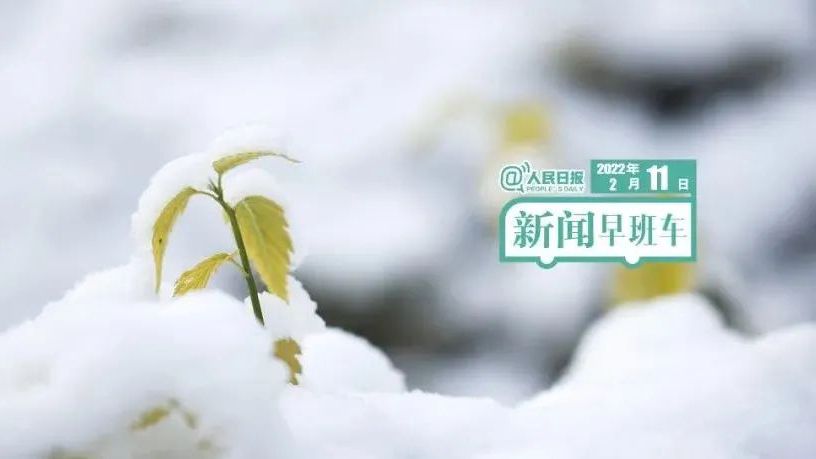 2022-2-11 新闻简讯
