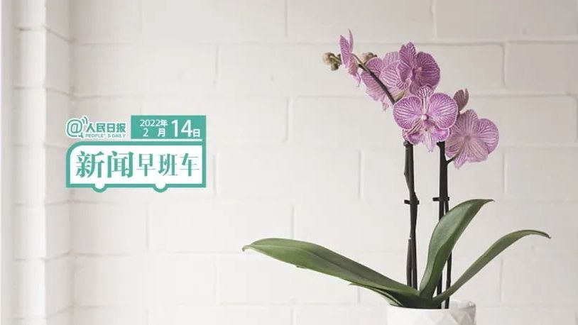 2022-2-14 新闻简讯