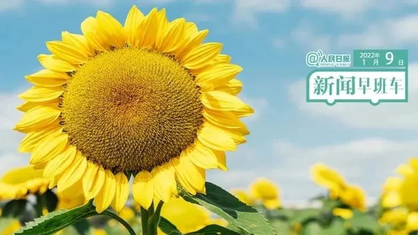 2022-1-9 新闻简讯