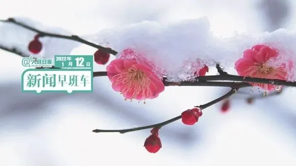 2022-1-12 新闻简讯